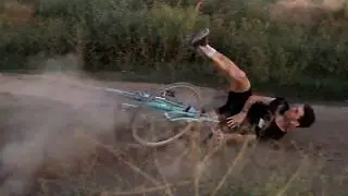 alleycat18
