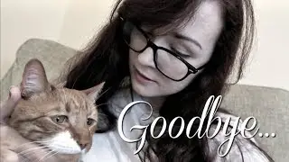 My Last Day With My Cat... ** Emotional **