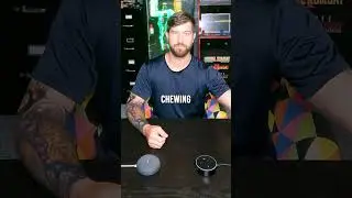 Google vs Alexa Day 34 #mrefey