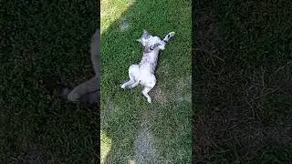 в какой город залетело это видео?