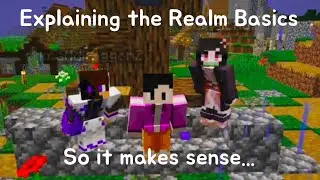 Explaining the Realm Basics So it all makes sense