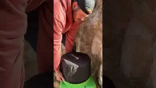 Winter Is Coming (Prep Your Audio)