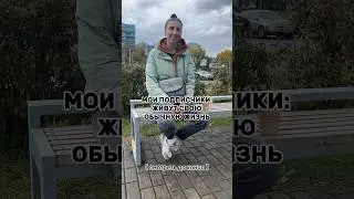 Я ору 🤣 