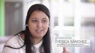 Desarrollo Institucional- Becas