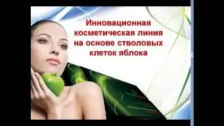 Бизнес - проект Evolution.