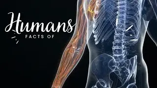 Amazing Facts About Humans | Knowledge about ourself | Homosepians
