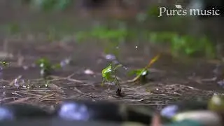 Just enjoy the rain.  Background sound: Array Mbira #mbira #kalimbasong #thumbpiano