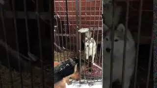За подругой хоть куда.