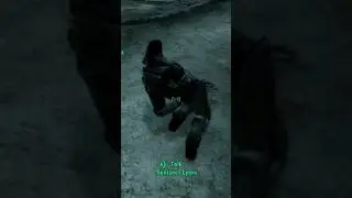 Lyons breaks ankles #funny #fallout #gaming #fallout3 #shortsfeed #shorts #youtubeshorts #short #fyp
