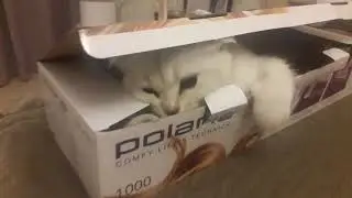 Хорошо, что у нас поларис:-)