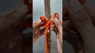 This is awesome knot tying skill ! The Eskimo's Bowline Knot #short