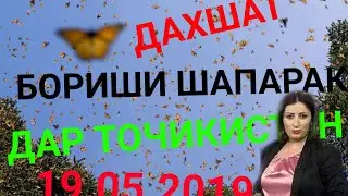 СРОЧНО🦋БОРИШИ ШАПАРАК🦋 ДАР ТОЧИКИСТОН ШАХРИ ВАХДАТ ДАХШАТ?