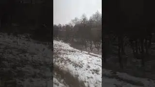 Зимові пейзажі|Winter landscapes