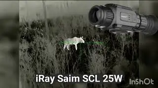 Лось с БЮДЖЕТНОГО тепловизионного прицела iRAY Saim SCL 25W