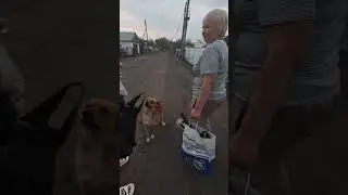 угостили Рыжего#shorts