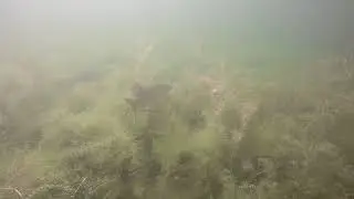 Jezioro Hańcza - szczupaczek