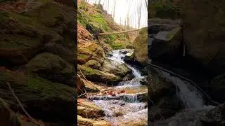 Stream Among Stones In Forest - Copyright Free