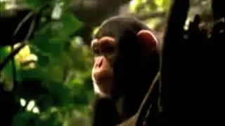 Edgar the Irrelephant Loves Dubstep