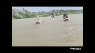 Федоровское водохранилище.🌊Купалась в дождь 🐸