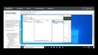 Testout | Network + | 6.2.6 Lab: Configure DHCP Server Options
