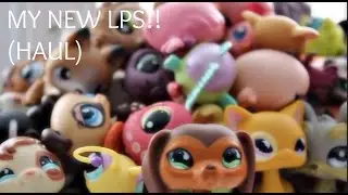 My New LPS! (RARE HAUL!) | #675, #577, #575, etc!
