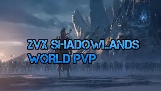 World of Warcraft // World PvP // Shadowlands // Shadow Priest, Mage 2VX