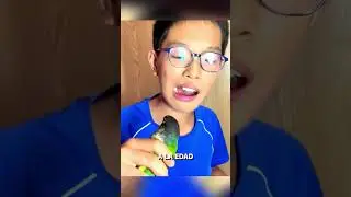 This guy uses a parrot to pull his teeth! 😅🦜 