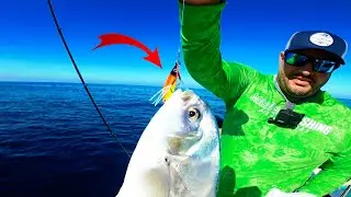 MICRO JIG SALVOU A PESCARIA - Pescaria em Alto Mar