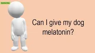 Can I Give My Dog Melatonin?