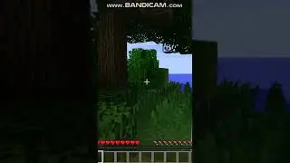 ДАБЫВАЮ ДЕРЕВО