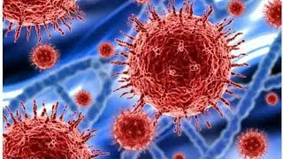 A new virus has appeared in Brazil after China