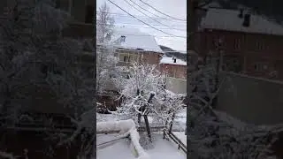 Зима Прошла и Ура!!!!! Снег Выпал!!!