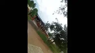 Costanera sur domingo medio dia