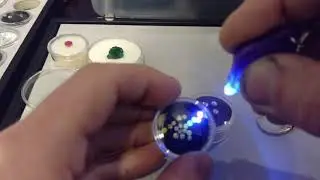 Fluorescent Diamonds and Emeralds