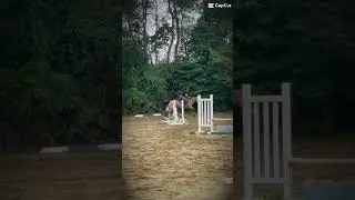 😱🤩