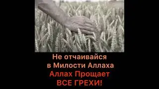 Не отчаивайся в Милости Аллаха, Аллах прощает все грехи!