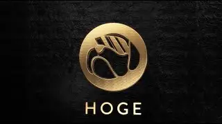 HOGE Presents The FIRST EVER NFT Collection's from Adam Rose & Scotty Sire