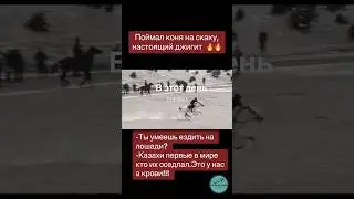 ЭКСКЛЮЗИВ 21. ПОЙМАЛ КОНЯ НА СКАКУ #асау #horse #лошади #кони #айгыр #атбеги #палуан #жылкы