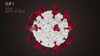 COVID - 19 Novel Coronavirus in Transparent Background - HD