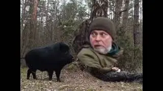 Мужик встречает Кабана Прикол