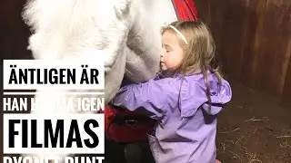 Shaggy kommer hem igen, filmas dygnet runt!