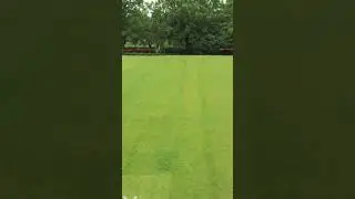 Lush Green soccer field