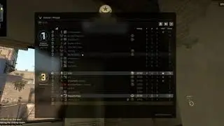 Private CSGO