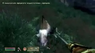 прохождение The Elder Scrolls IV Oblivion 90 серия (Паломничество 2)