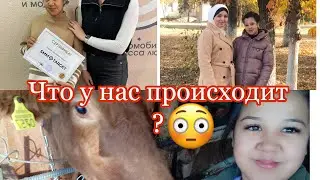 УРА 🥳 ВРУЧЕНИЕ СЕРТИФИКАТОВ У МЕНЯ В ГОСТЯХ @pro_vkusno1102  Я ДОЮ КОРОВУ🤪ВЫ ТАКОГО ЕЩЁ НЕ ВИДЕЛ