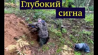 A deep signal forced a huge hole to be dug. War cop. Metal detecting WW2.