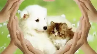 кого мы встречали с Краснодара