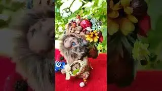 Домовой