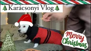 🎄Karácsonyi VLOG🎄2500🤩🤩