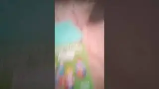 приезд феника ( школа)